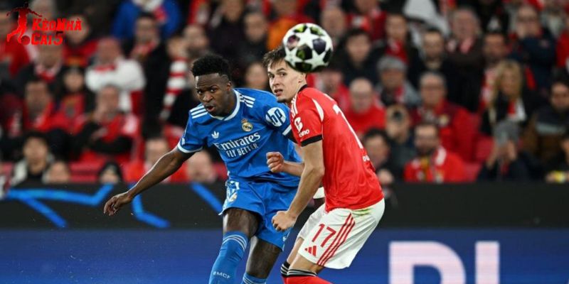Real Madrid vs Benfica hứa hẹn tạo nên màn so tài rực lửa