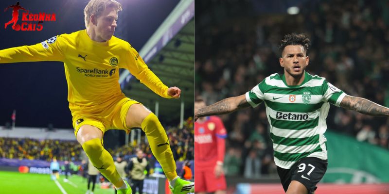 Bodo Glimt vs Sporting CP chưa bao giờ gặp nhau